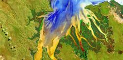 immagine satellitare - Foto di USGS su Unsplash 