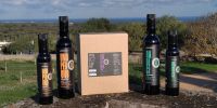 Lire la suite : Olio extravergine di oliva
